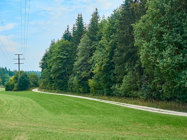 Wanderung auf der DonauWelle Donauversinkung