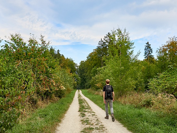 Wanderung auf der DonauWelle Donauversinkung