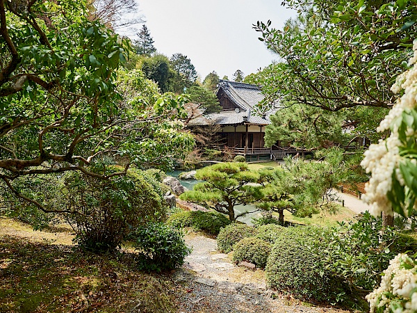 Der Garten im Shoren-in in Kyoto