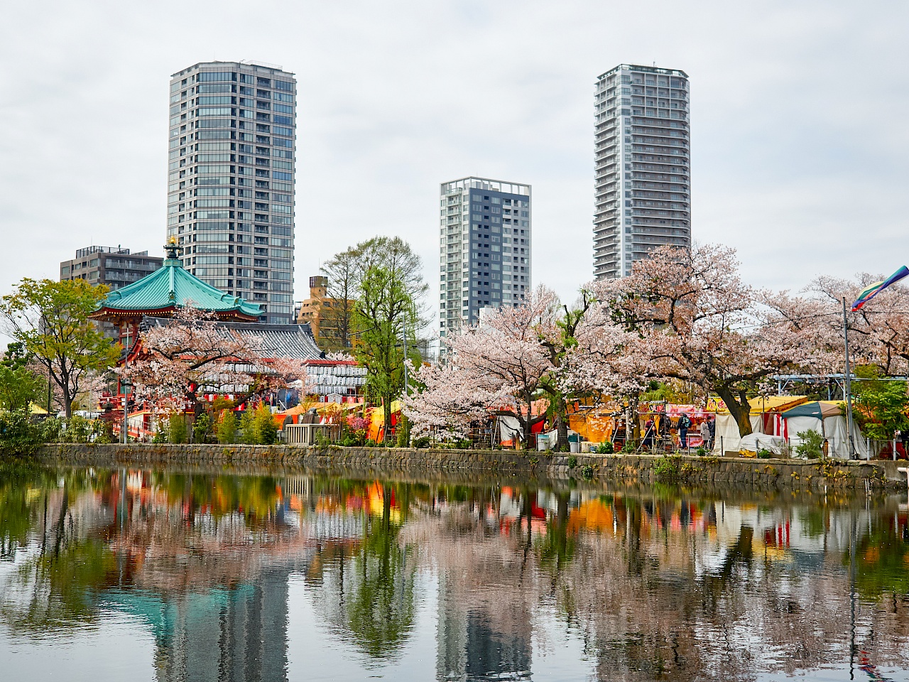 Kirschblüte im Park Ueno-kōen in Tokyo