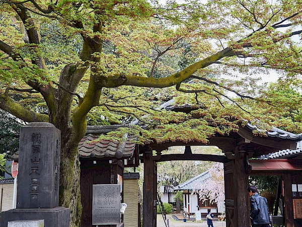 Tennoji-Tempel in Yanaka in Toyko