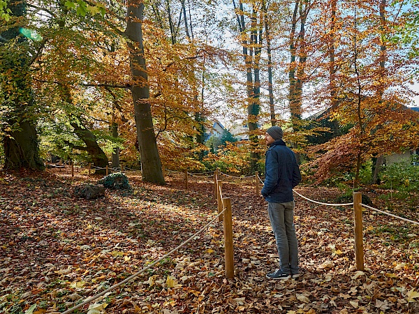 Eingang zur Süntelbuchen-Allee in Bad Nenndorf