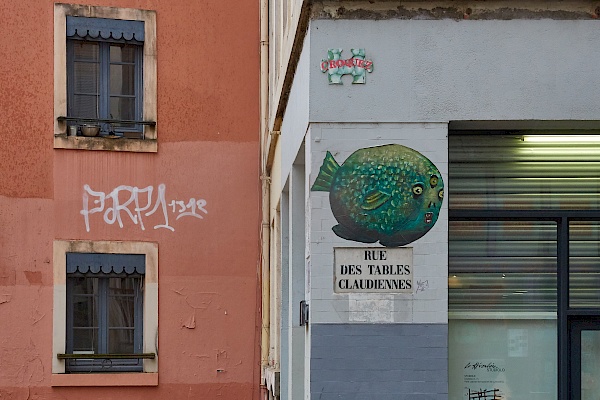 Street-Art im Viertel Croix-Rousse in Lyon