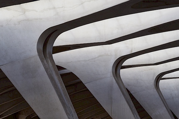 Bahnhof am Flughafen in Lyon