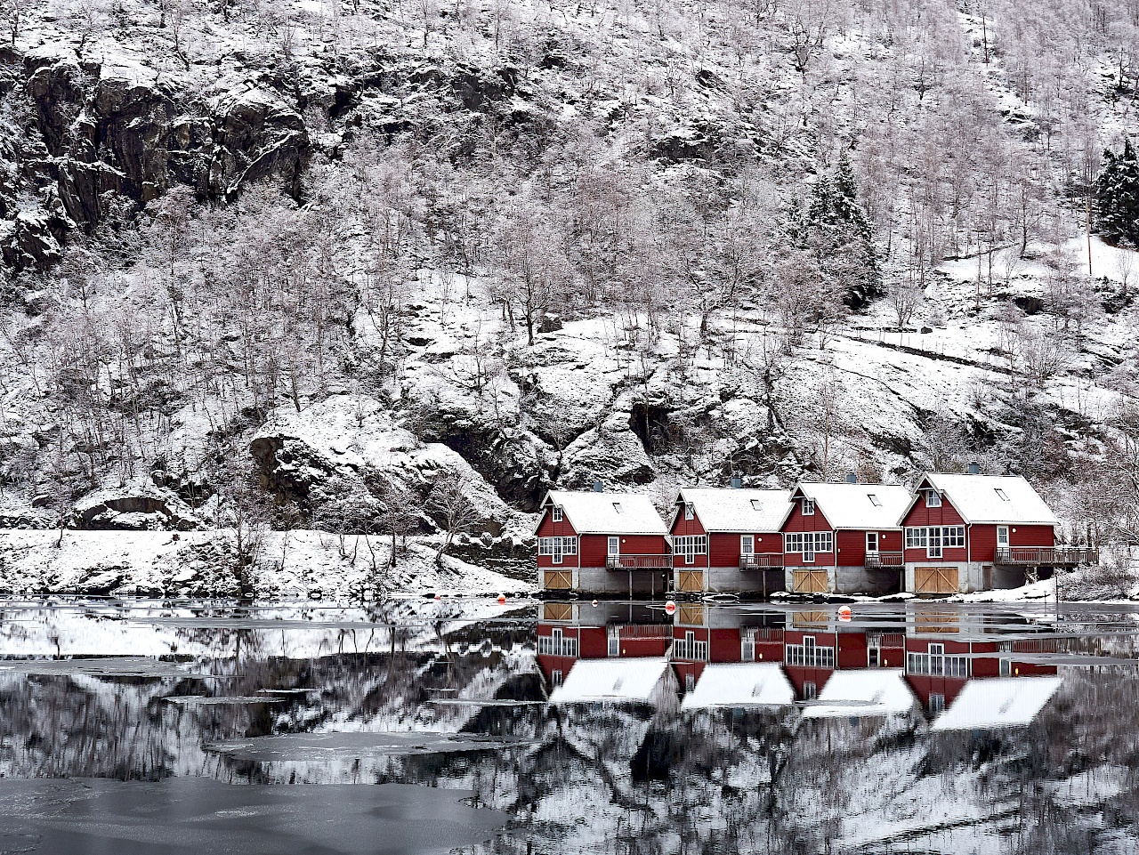 Der Aurlandsfjord in Flåm (Norwegen)