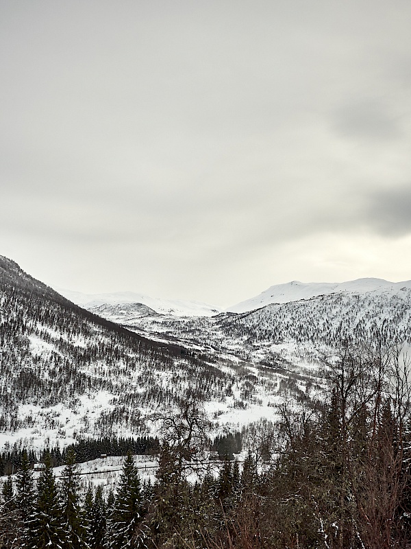 Winterliche Aussichten in Myrkdalen (Norwegen)