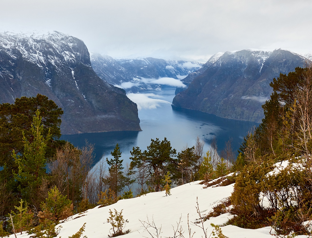 Blick auf den Aurlandsfjord