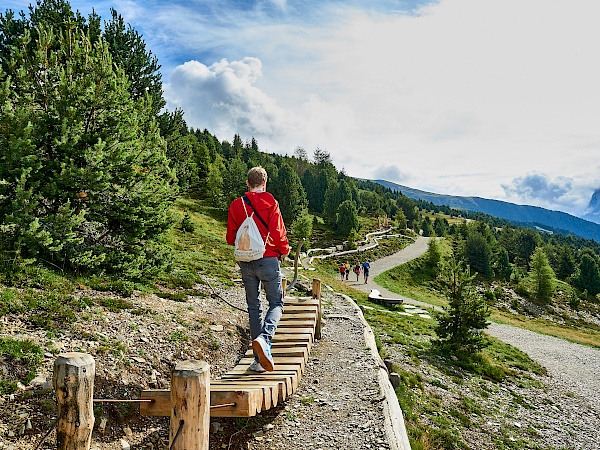 Unterwegs auf dem Woody Walk in Brixen