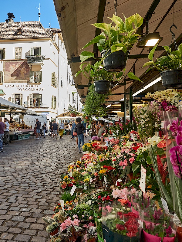 Obstmarkt in Bozen