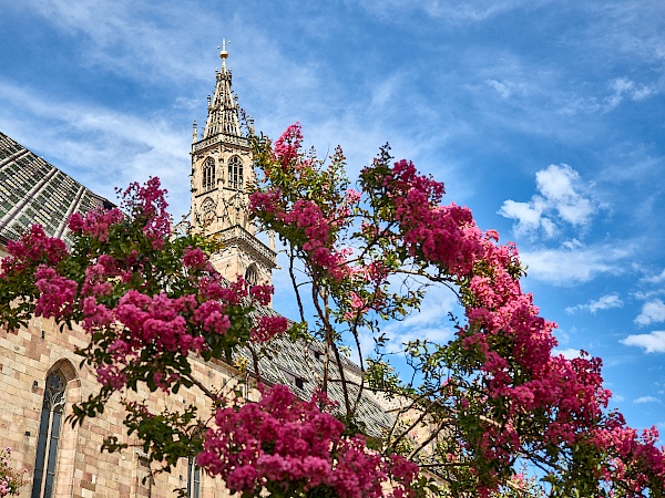 Der Dom in Bozen