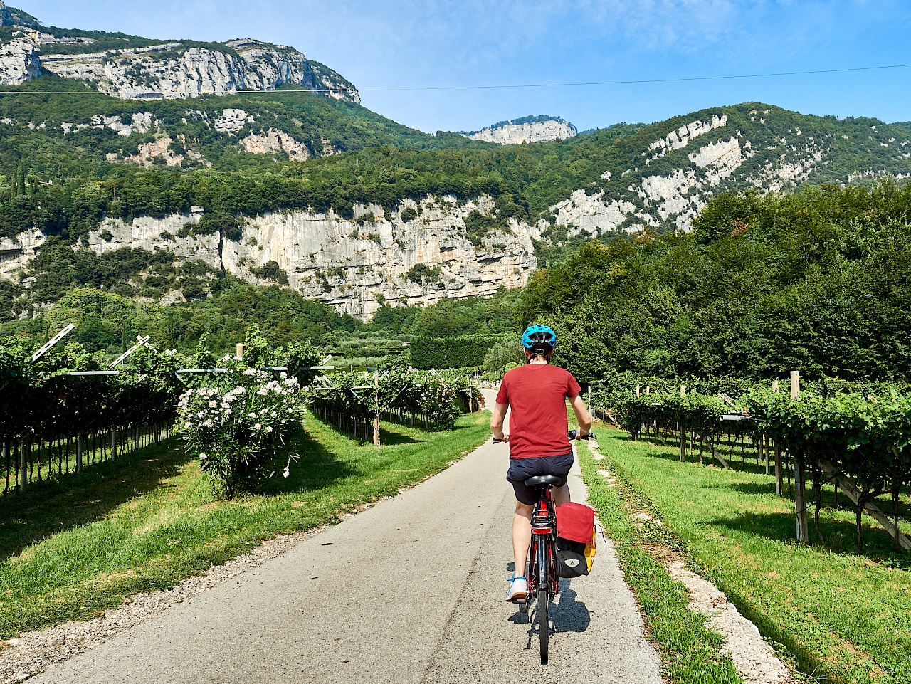 Radweg zum Gardasee durch die Weingüter von Mori