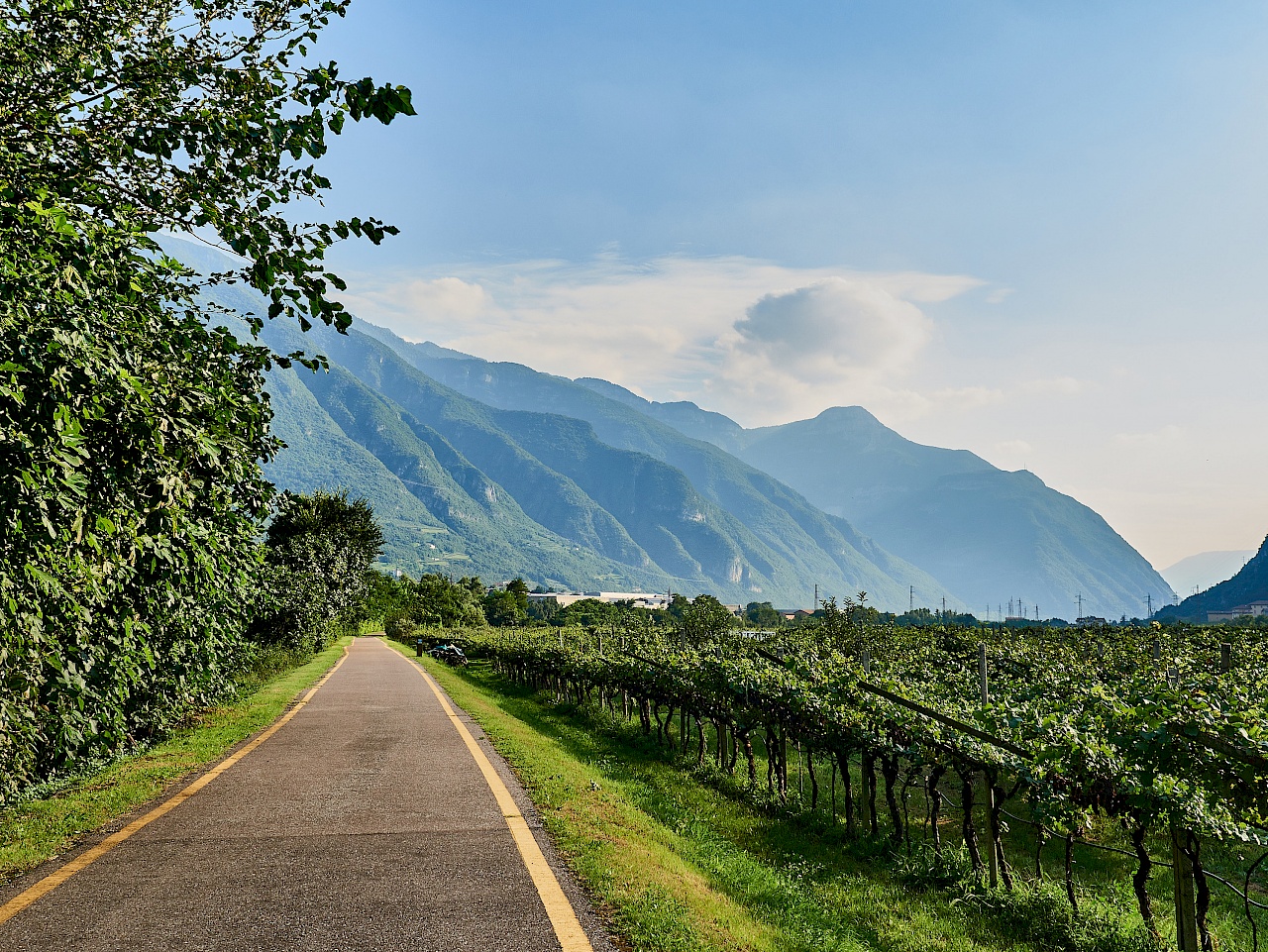 Traumhafter Radweg mit Bergblick