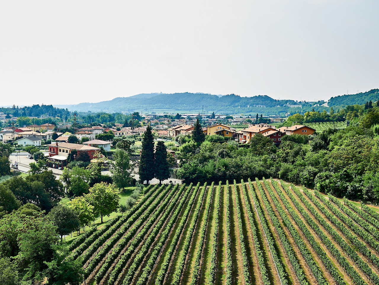 Mediterranes Flair auf dem Radweg nach Verona