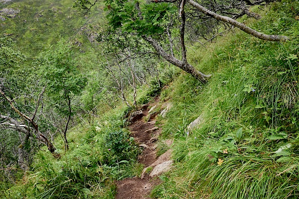 Weg bergab zum Strand Skipssanden auf der Dronningruta (Norwegen)