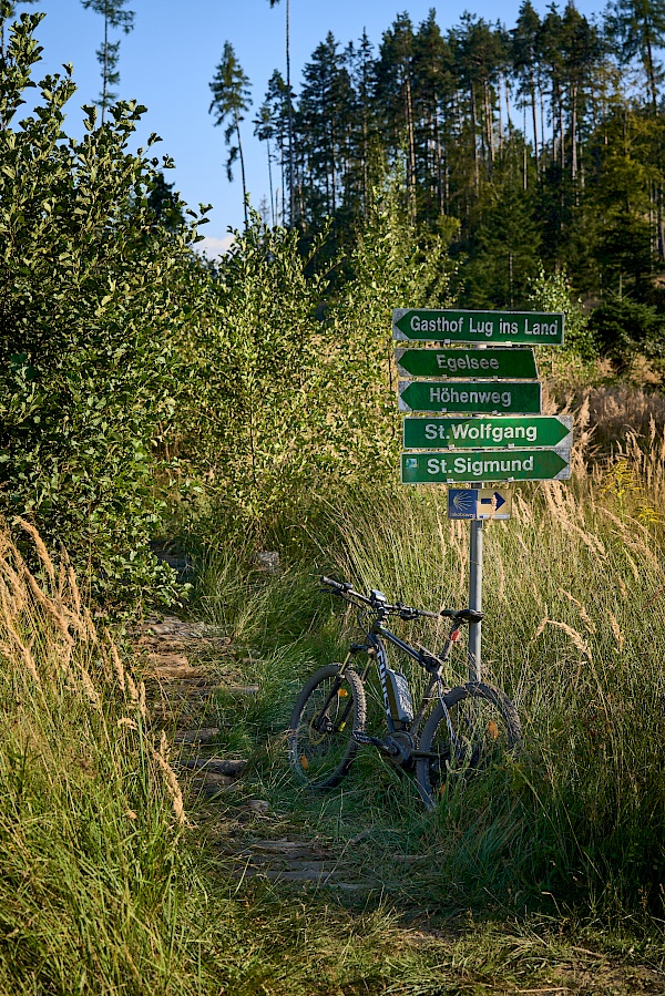 Mit dem Mountainbike auf dem Weg zum Egelsee.