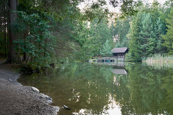 Der Klieberteich nahe dem Millstätter See.