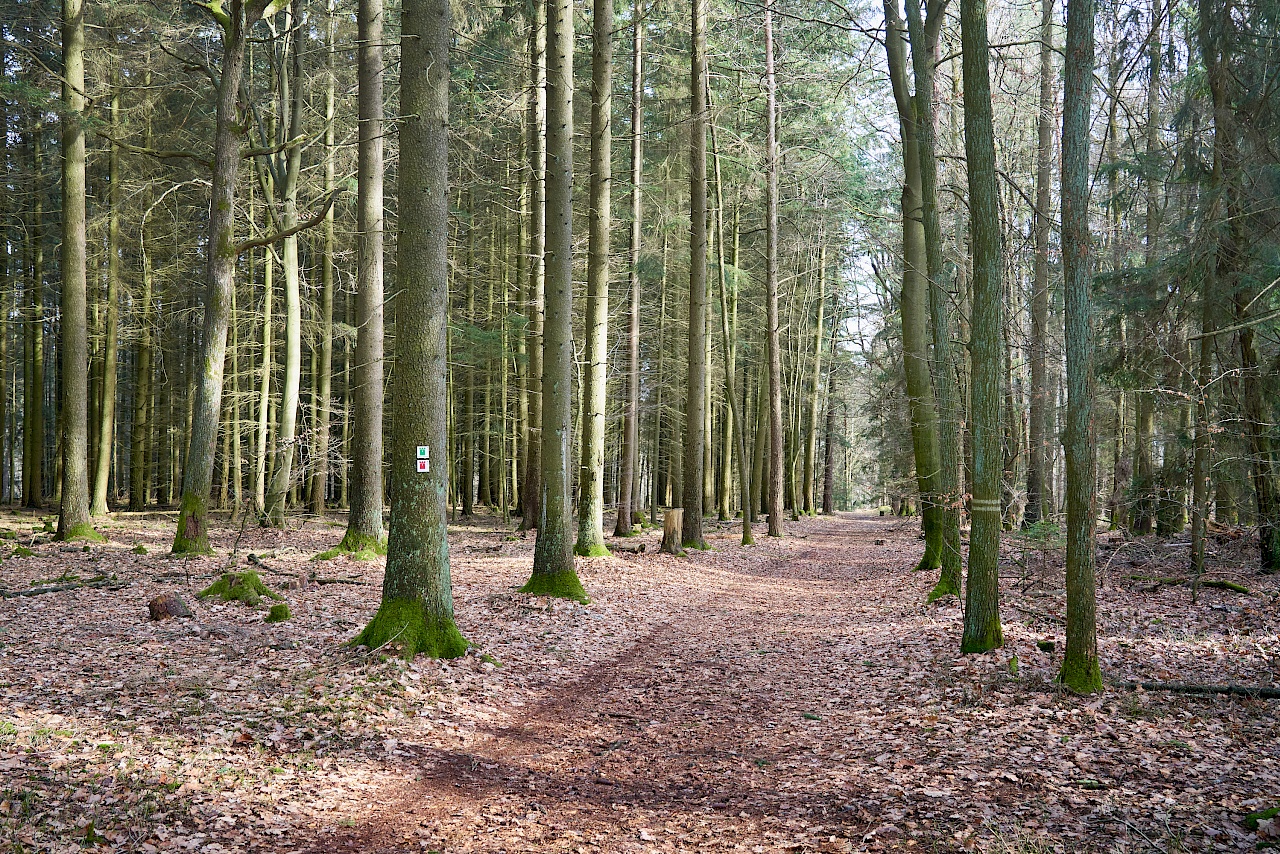 Unterwegs in den Haßbergen