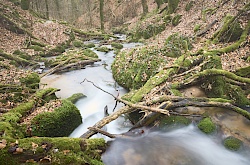 2019-02-22-hollschlucht-schwarzwald-littlediscoveries_net.jpg