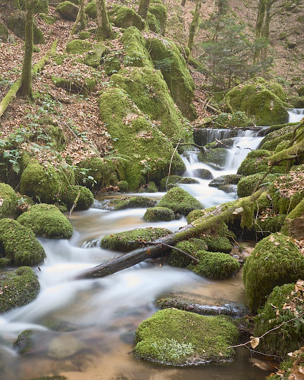 Der Höllbach im Schwarzwald