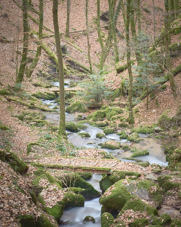 Die unberührte und wilde Höllschlucht im Schwarzwald