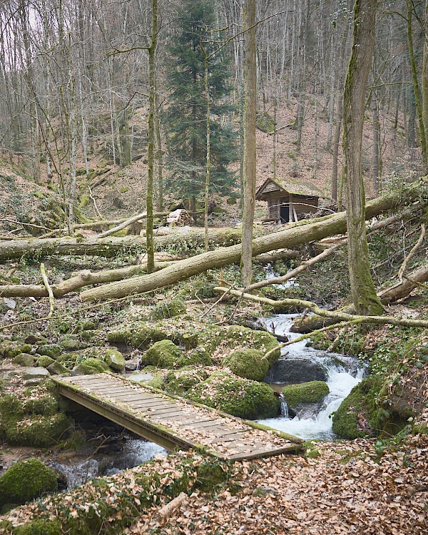 Die Höllhütte im Hintergrund