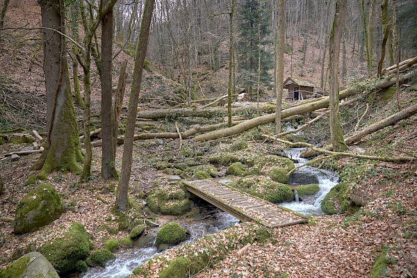 Die Höllschlucht im Schwarzwald