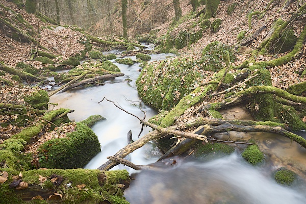 Tolle Fotospots in der Höllschlucht im Schwarzwald