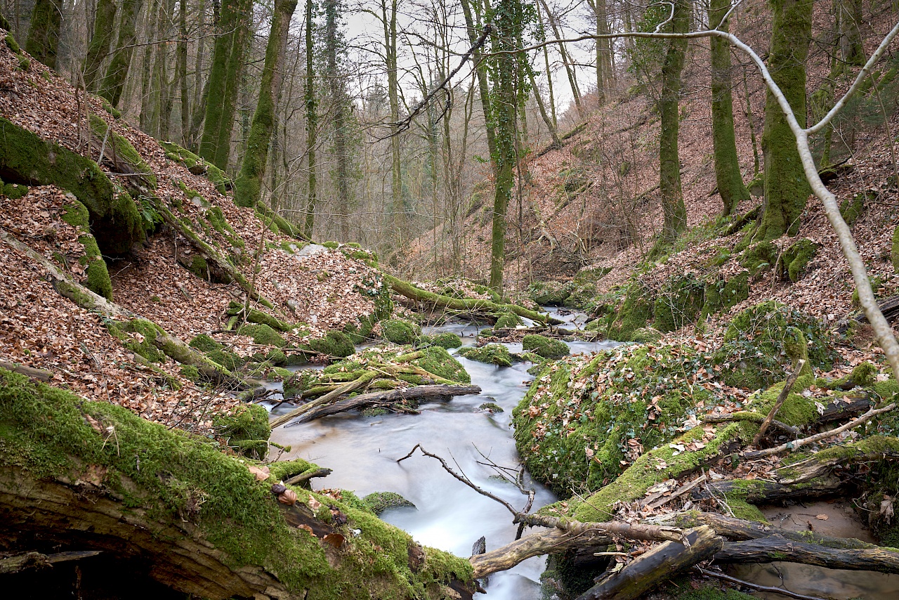 Die Höllschlucht im Schwarzwald