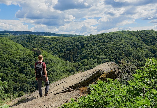 p1010134-traumschleife-ehrbachklamm-rheinland-pfalz-littlediscoveriesnet.jpg