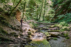 p1010103-ehrbachklamm-rheinland-pfalz-littlediscoveries_net.jpg