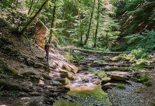 p1010103-ehrbachklamm-rheinland-pfalz-littlediscoveries_net.jpg