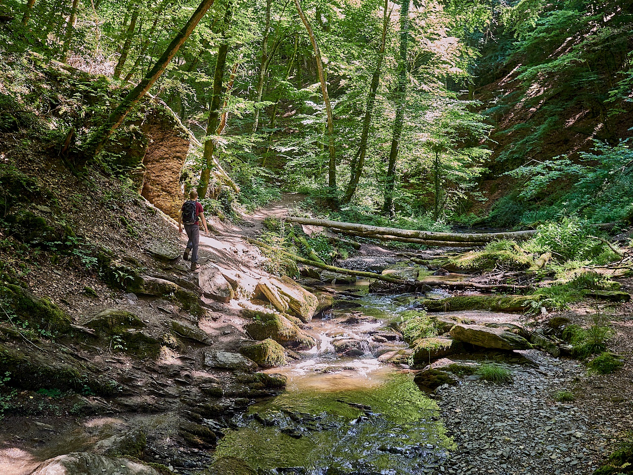 Wandern in der Ehrbachklamm in Rheinland-Pfalz