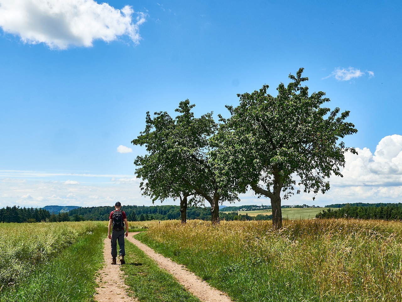 Start der Wanderung auf der Traumschleife Ehrbachklamm