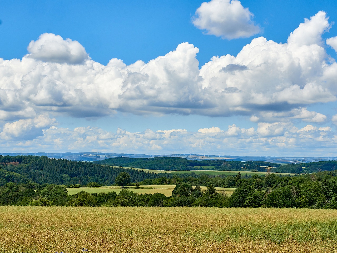 Flache Feldwege am Beginn der Wanderung auf der Traumschleife Ehrbachklamm