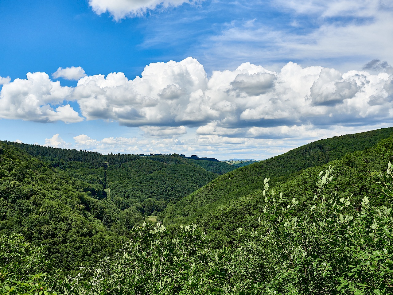 Aussichtspunkt Beuelslay auf der Traumschleife Ehrbachklamm