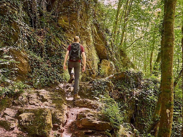 Wandern in der Ehrbachklamm