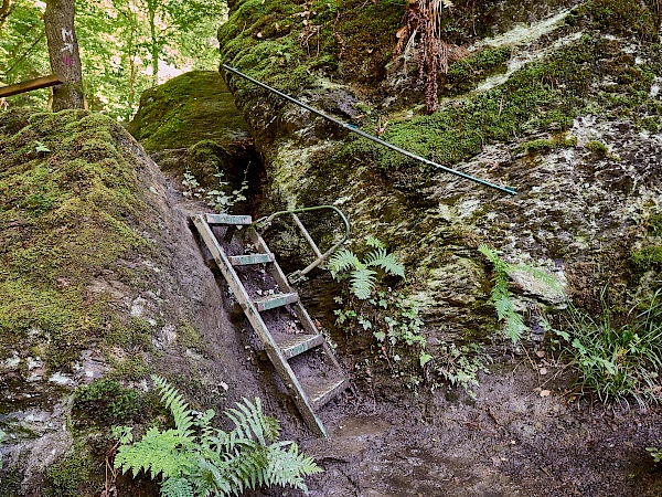 Leitern und Halteseile in der Ehrbachklamm