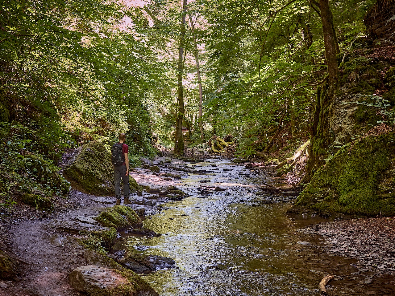 Wandern auf der Traumschleife Ehrbachklamm