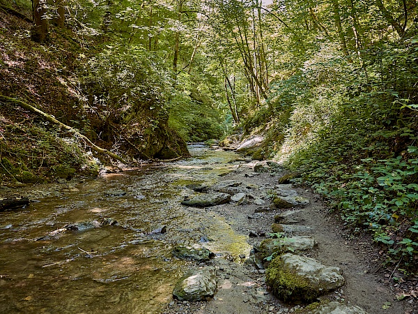 Wandern auf der Traumschleife Ehrbachklamm