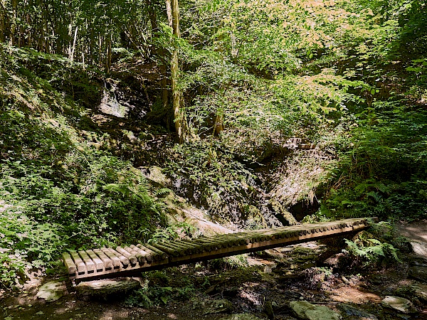 Kleine Holzbrücken in der Ehrbachklamm