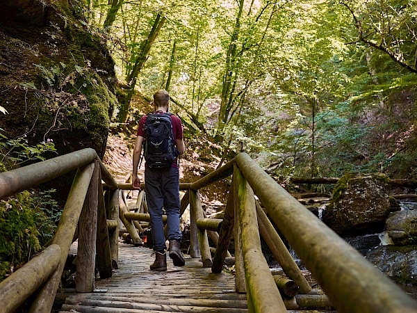 Wandern auf Holzstegen in der Ehrbachklamm