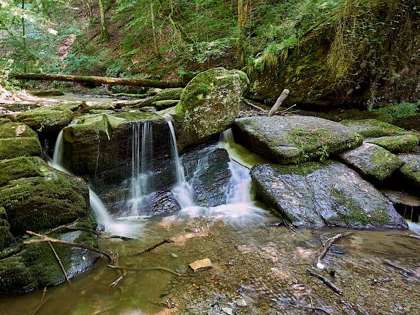 Kleine Wasserfälle in der Ehrbachklamm