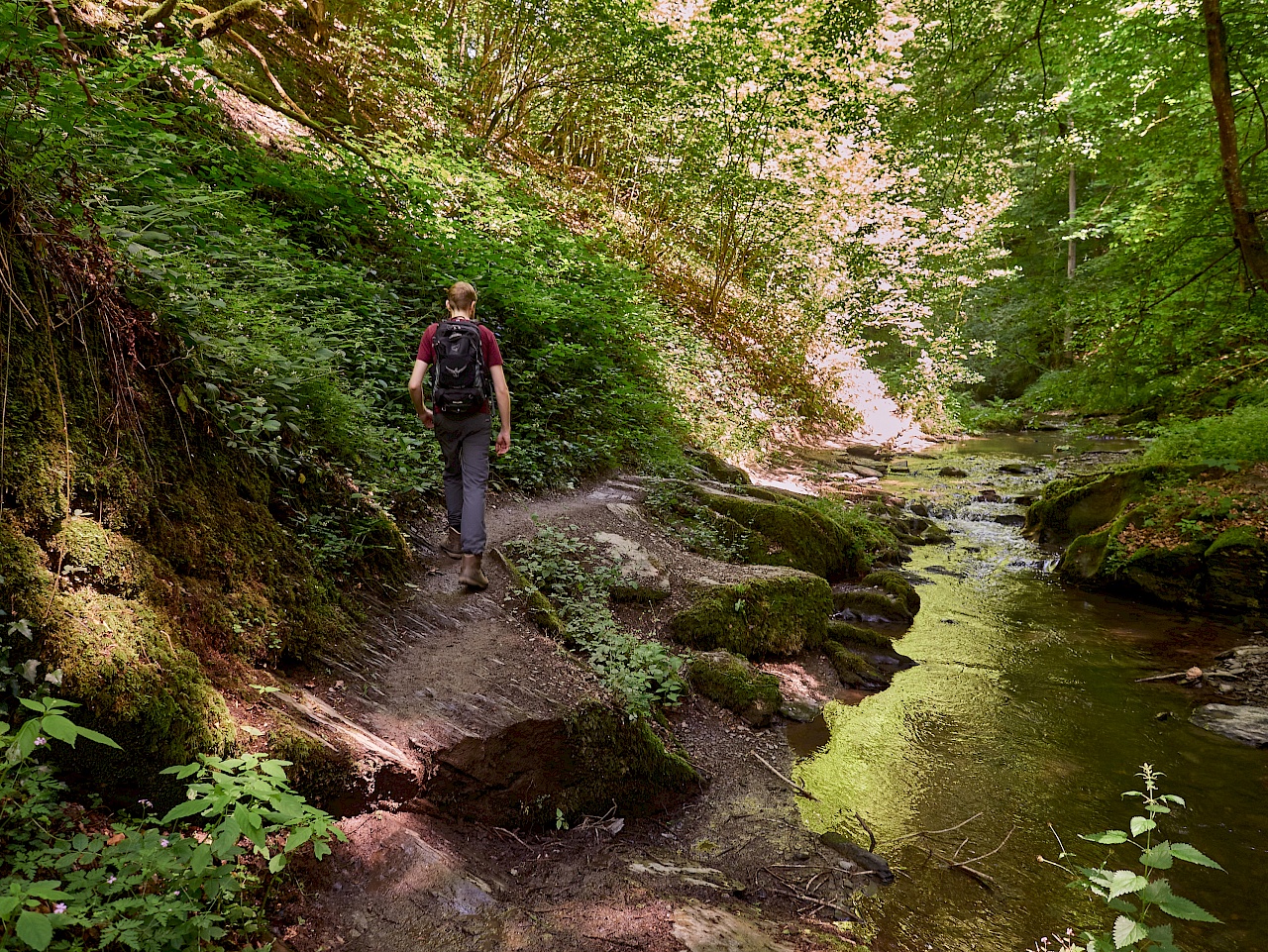 Wandern in der Ehrbachklamm