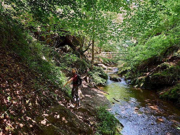 Wandern entlang des Ehrbachs