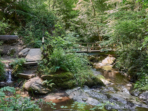 Holzstege und Brücken in der Ehrbachklamm