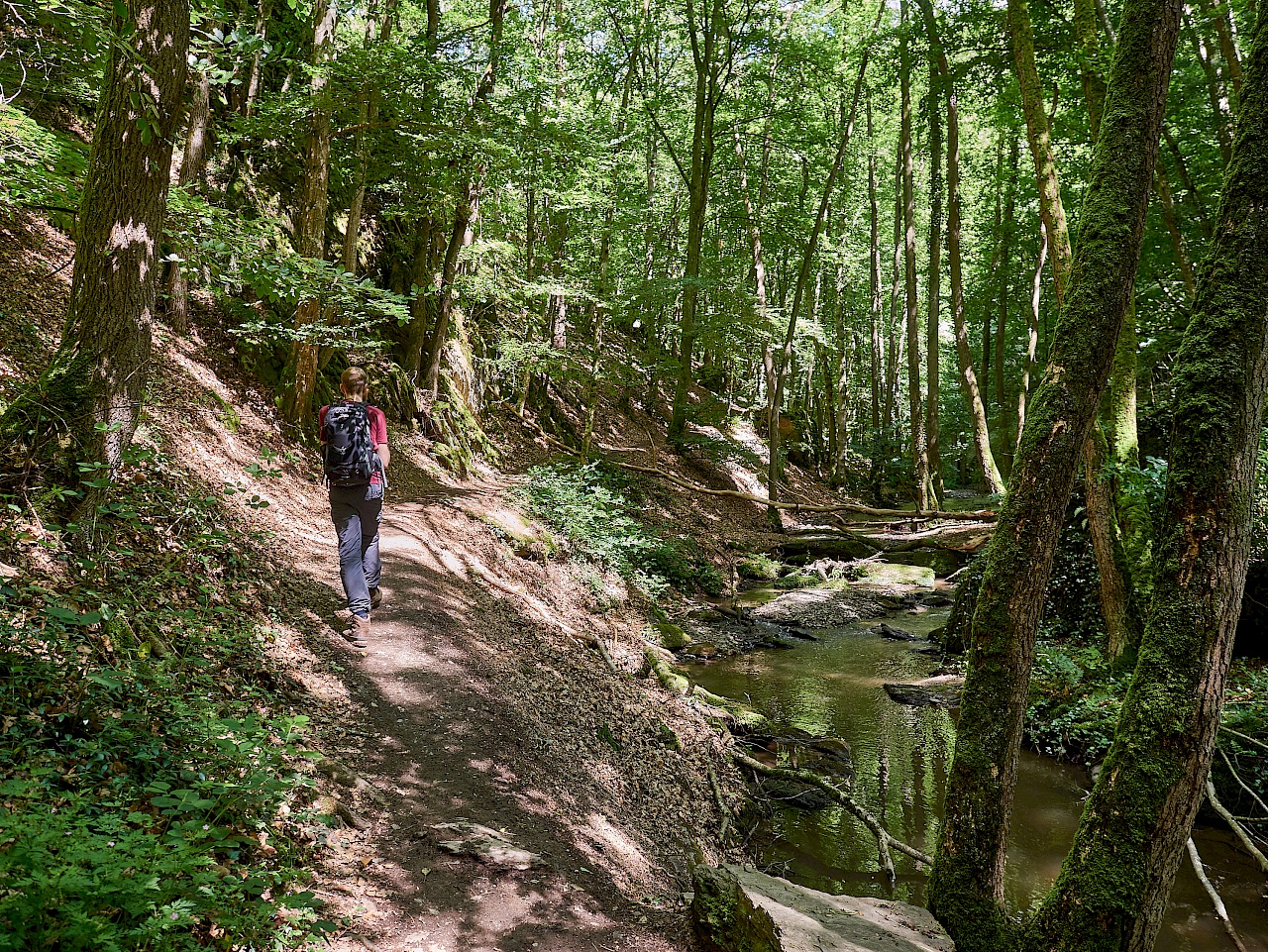 Wandern in  der Ehrbachklamm