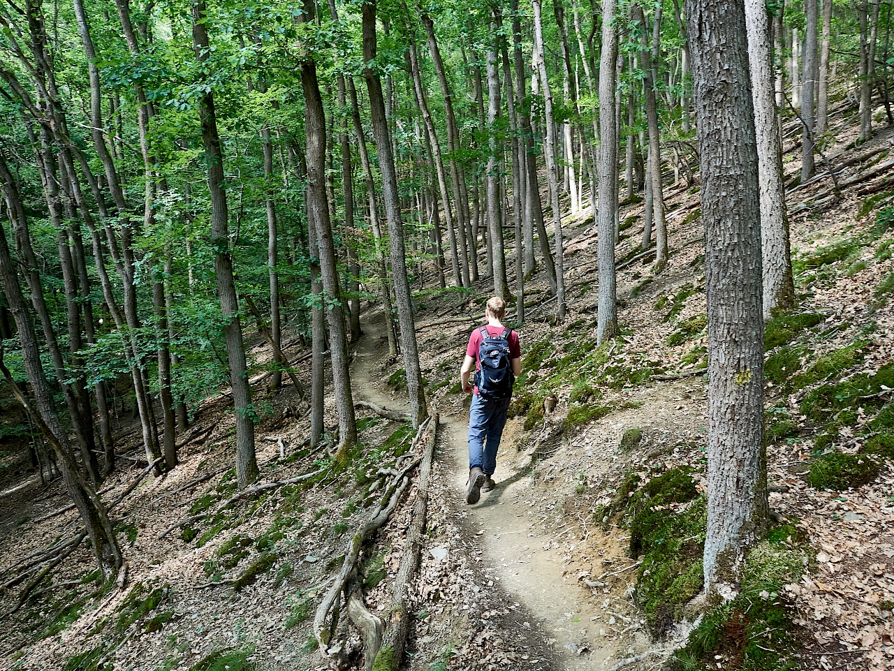 Wandern auf der Traumschleife Ehrbachklamm