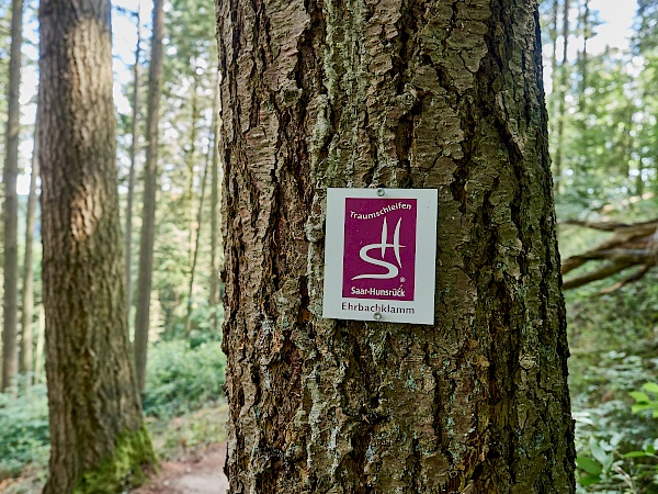 Wegweiser auf der Traumschleife Ehrbachklamm