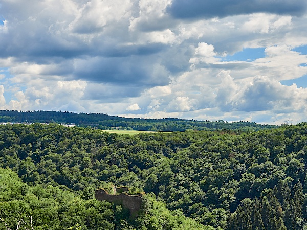 Aussicht auf die Ruine Rauschenburg