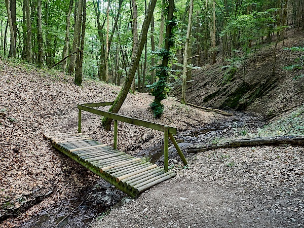 Über Brücken und Holzstege wandern